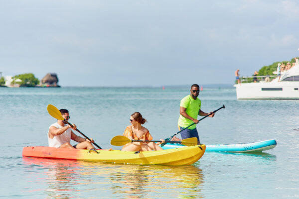 Silver Plan - Image 13