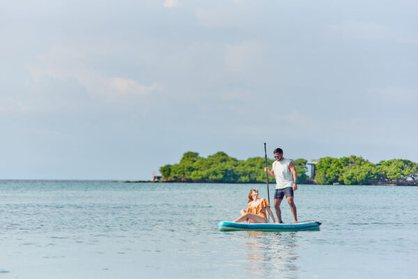 Silver Plan - Image 10