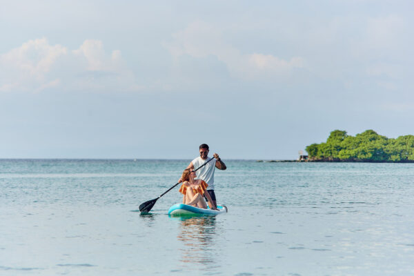 Diamond Plan - Image 4